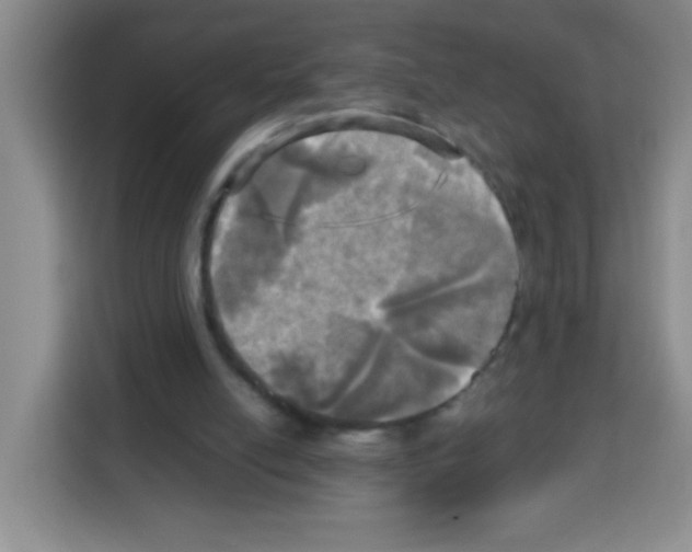 X0000112970054200910081054