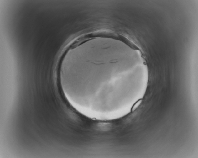 X0000112970055200910081054