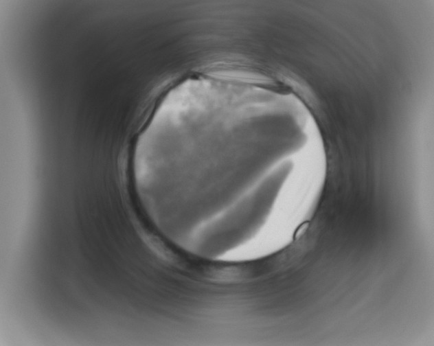 X0000112970058200910081054