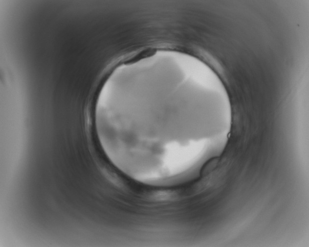 X0000112970059200910081054
