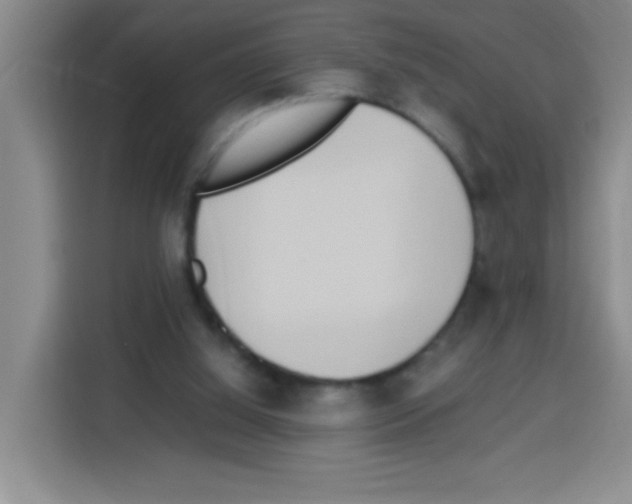 X0000112970060200910081054