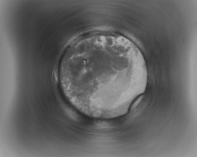 X0000112970062200910081054