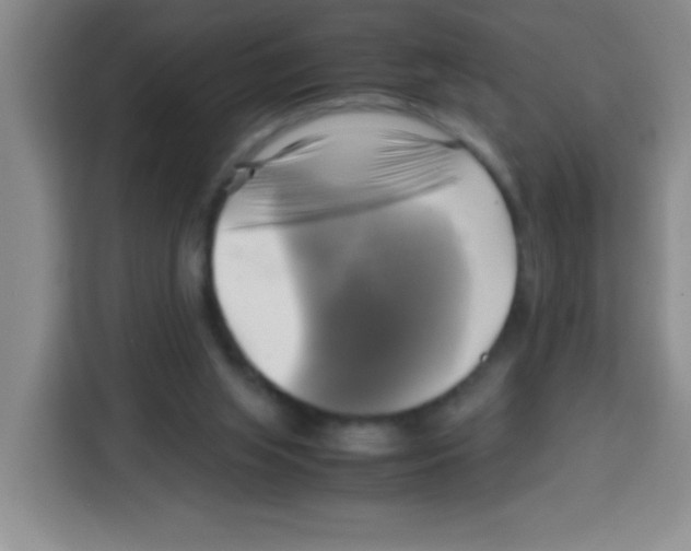 X0000112970063200910081054