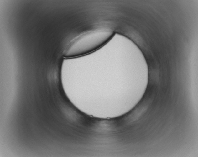 X0000112970064200910081054