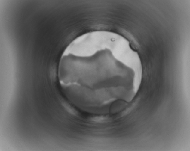 X0000112970065200910081054