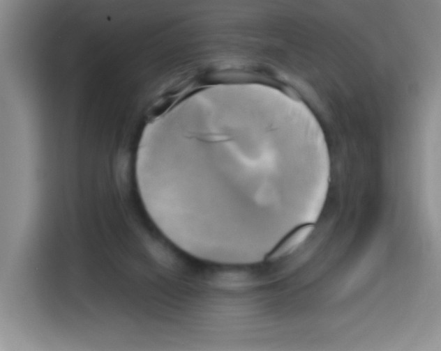 X0000112970066200910081054
