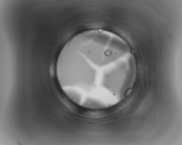 X0000112970069200910081054