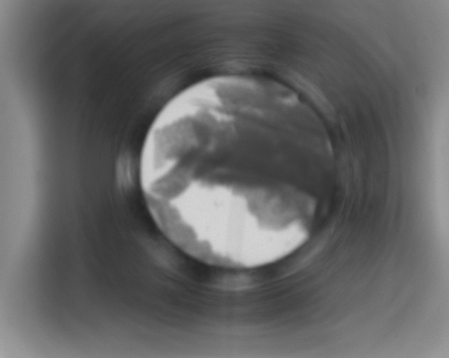 X0000112970075200910081054