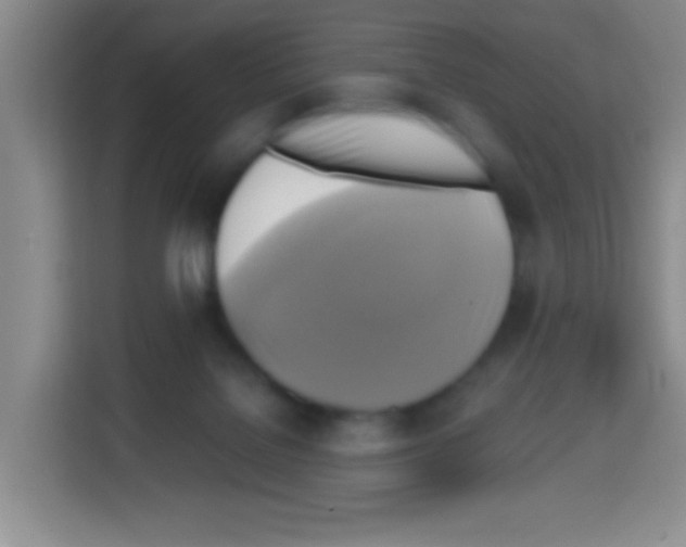 X0000112970076200910081054