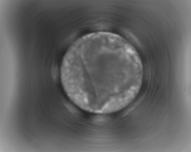 X0000112970077200910081054