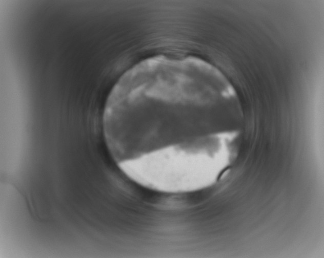 X0000112970078200910081054