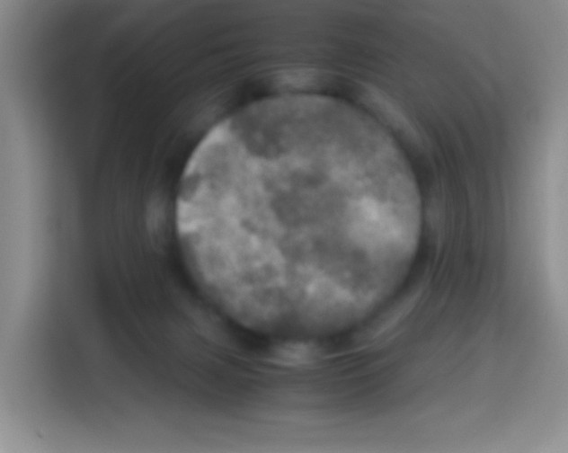 X0000112970079200910081054