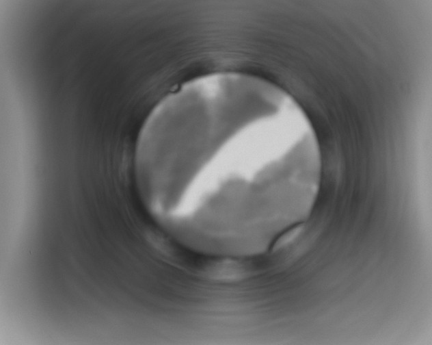 X0000112970082200910081054