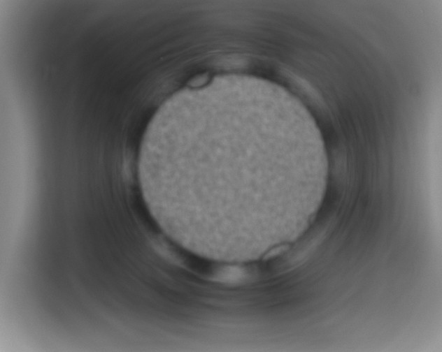 X0000112970083200910081054