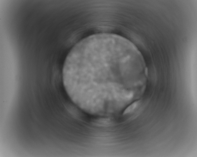 X0000112970086200910081054