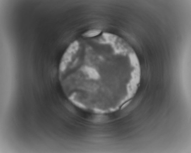 X0000112970087200910081054