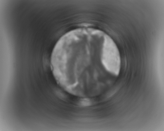 X0000112970091200910081054