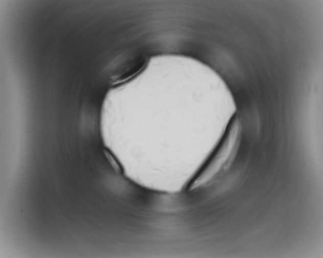 X0000112970092200910081054