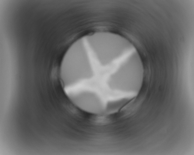 X0000112970093200910081054