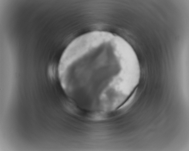 X0000112970094200910081054