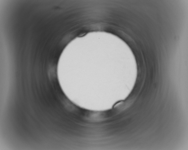 X0000112970096200910081054