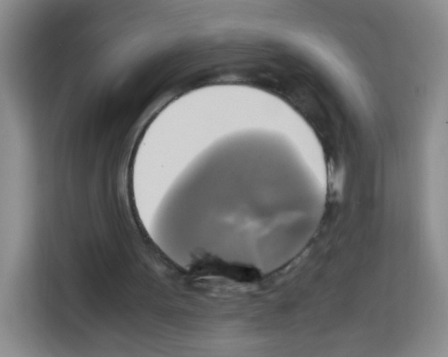X0000112970099200910081053
