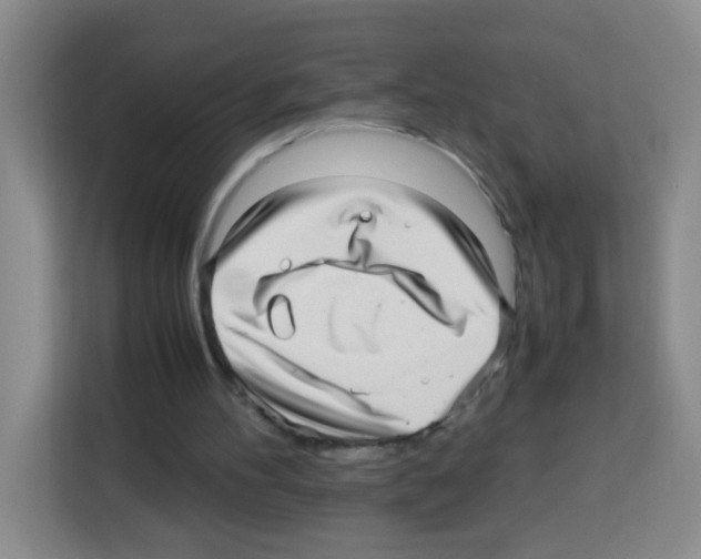 X0000112970100200910081053
