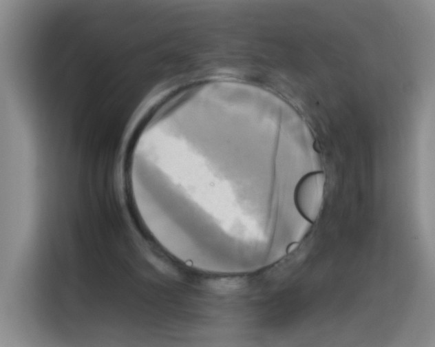 X0000112970102200910081053