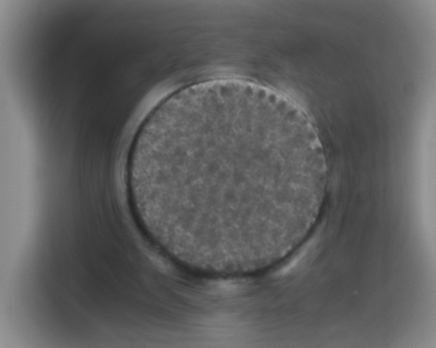 X0000112970103200910081053