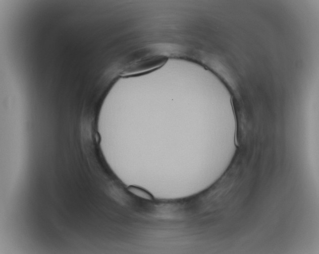 X0000112970105200910081053