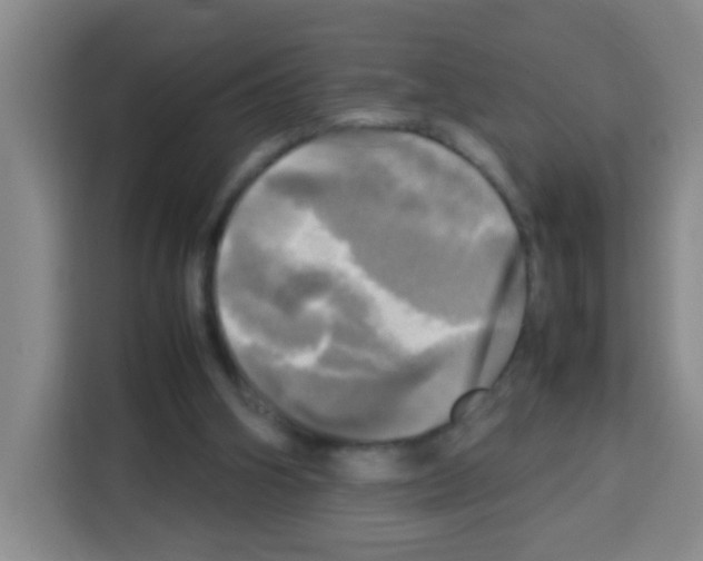 X0000112970106200910081053
