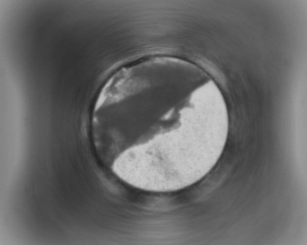 X0000112970107200910081053