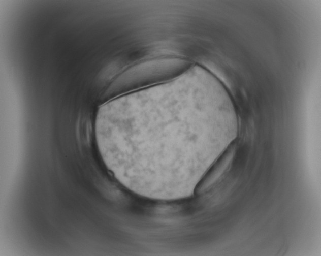X0000112970109200910081053