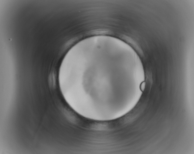 X0000112970110200910081053