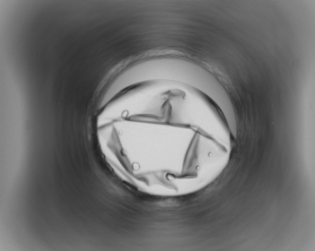 X0000112970112200910081053