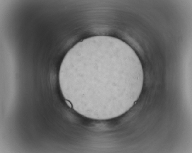 X0000112970113200910081053