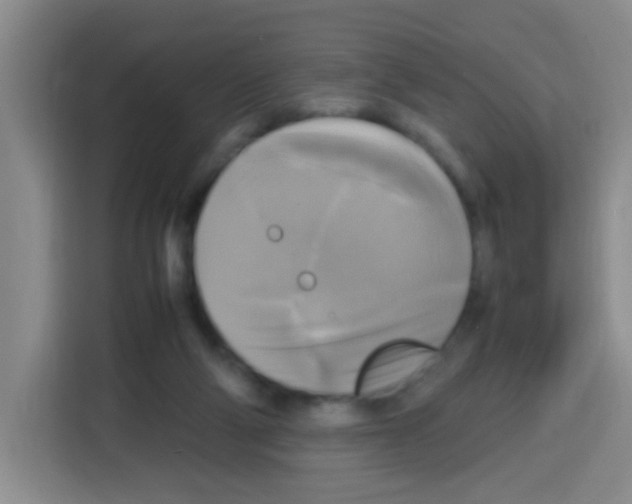 X0000112970114200910081053
