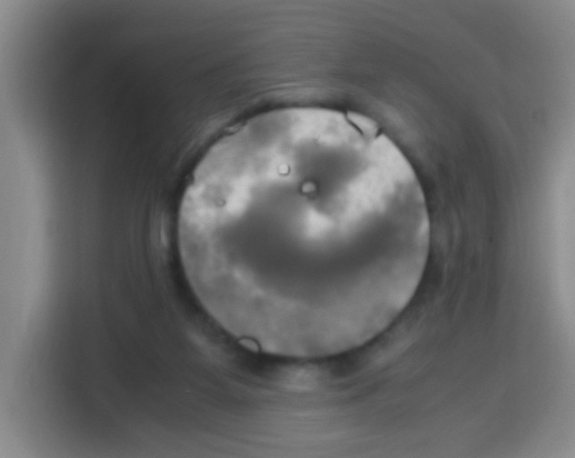X0000112970115200910081053