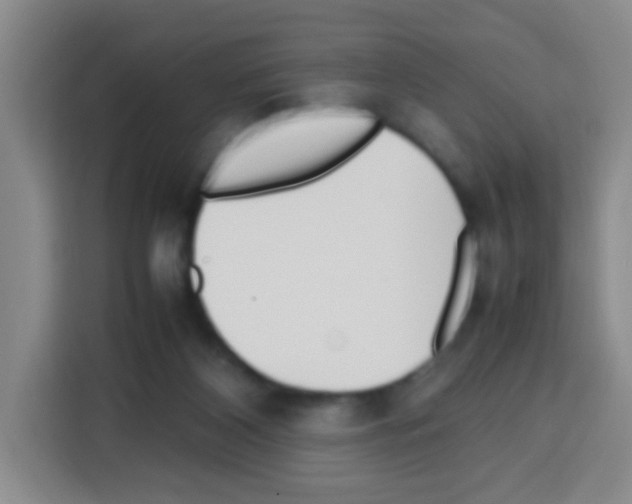 X0000112970116200910081053