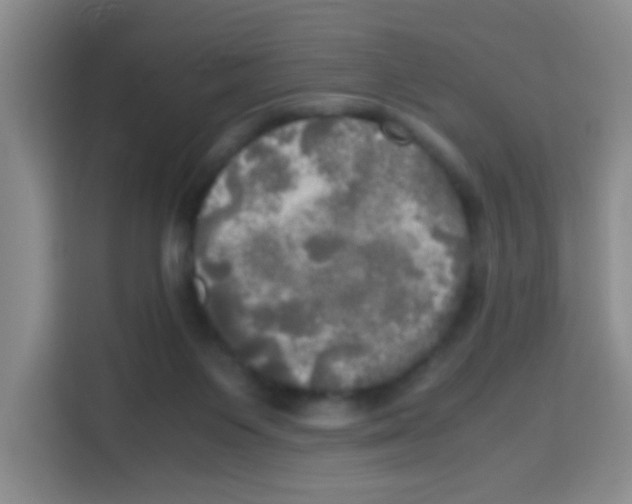 X0000112970119200910081053