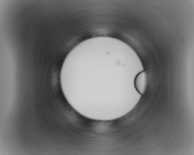 X0000112970122200910081053
