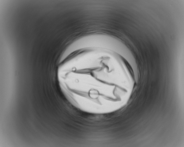 X0000112970124200910081053