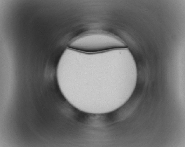 X0000112970125200910081053