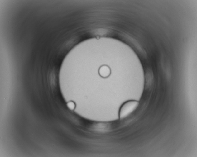 X0000112970126200910081053