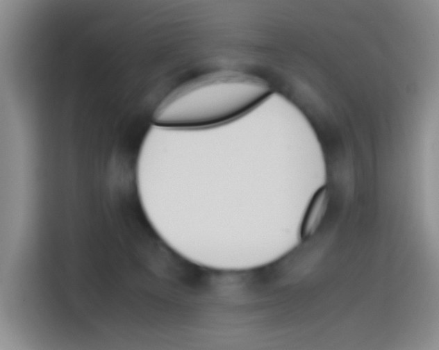 X0000112970129200910081053