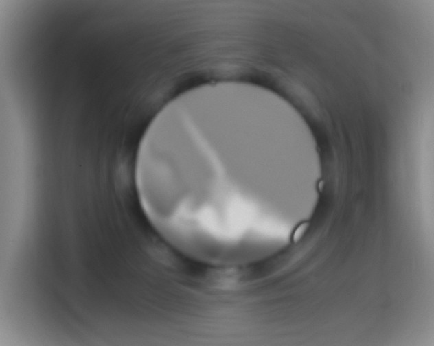 X0000112970131200910081053