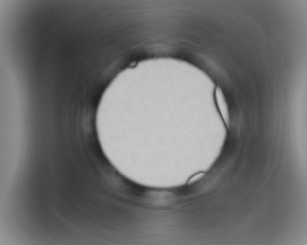 X0000112970133200910081053