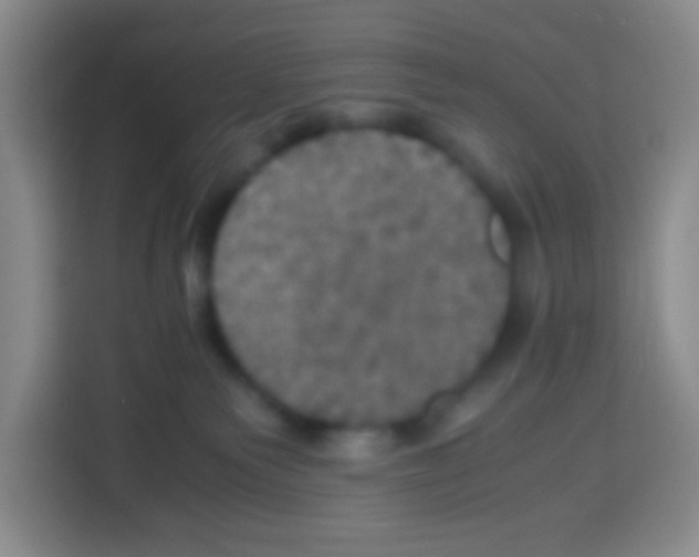 X0000112970135200910081053
