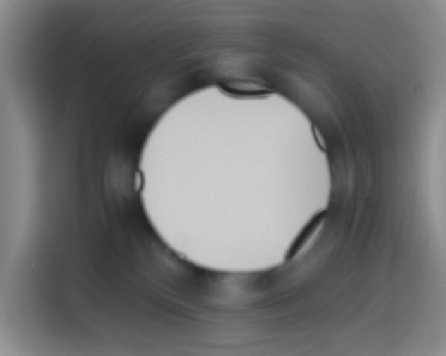 X0000112970136200910081053