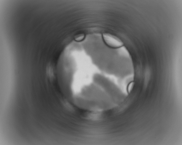 X0000112970138200910081053